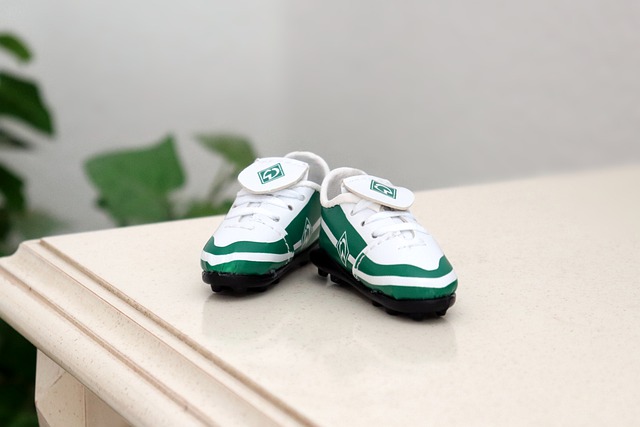 的完美结合 的完美结合