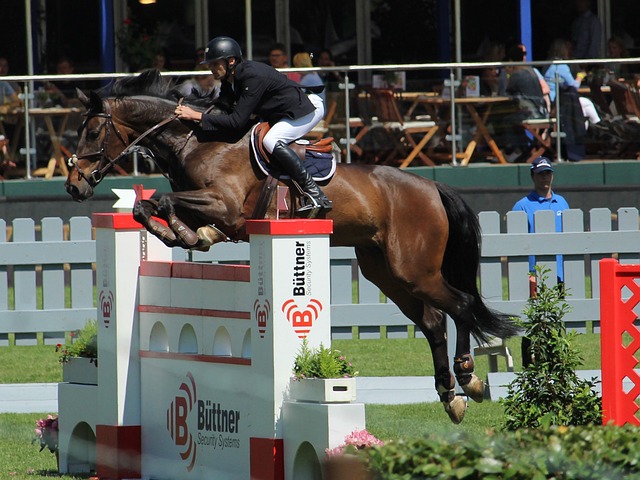 可以预见 可以预见