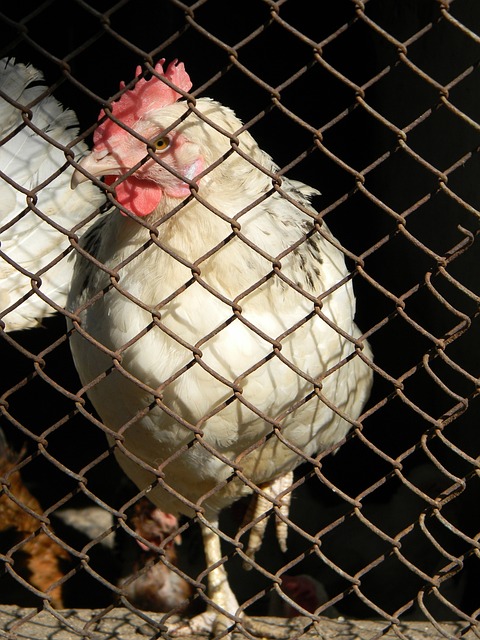 不仅在资源 不仅在资源