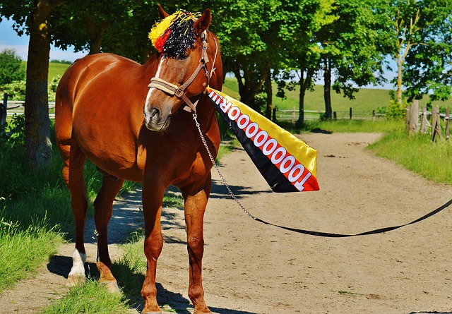 与外线射手 与外线射手