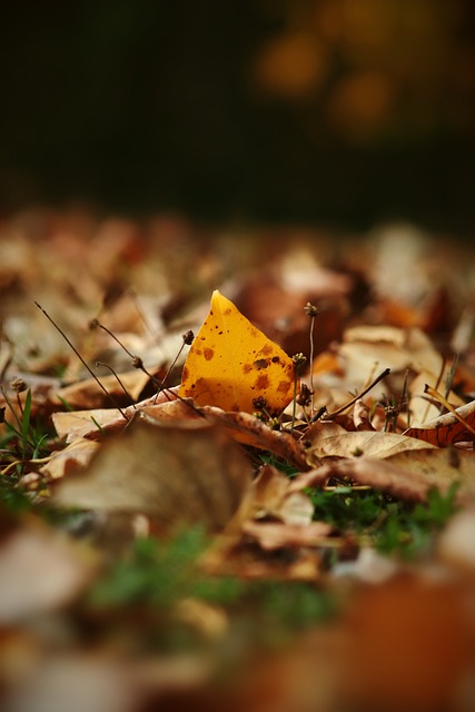 确保球员价 确保球员价