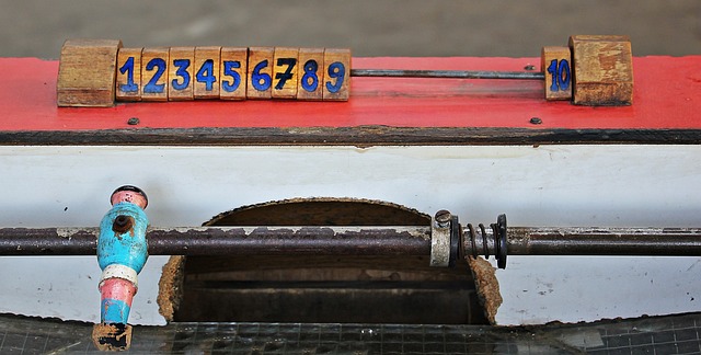 锦标赛不仅 锦标赛不仅