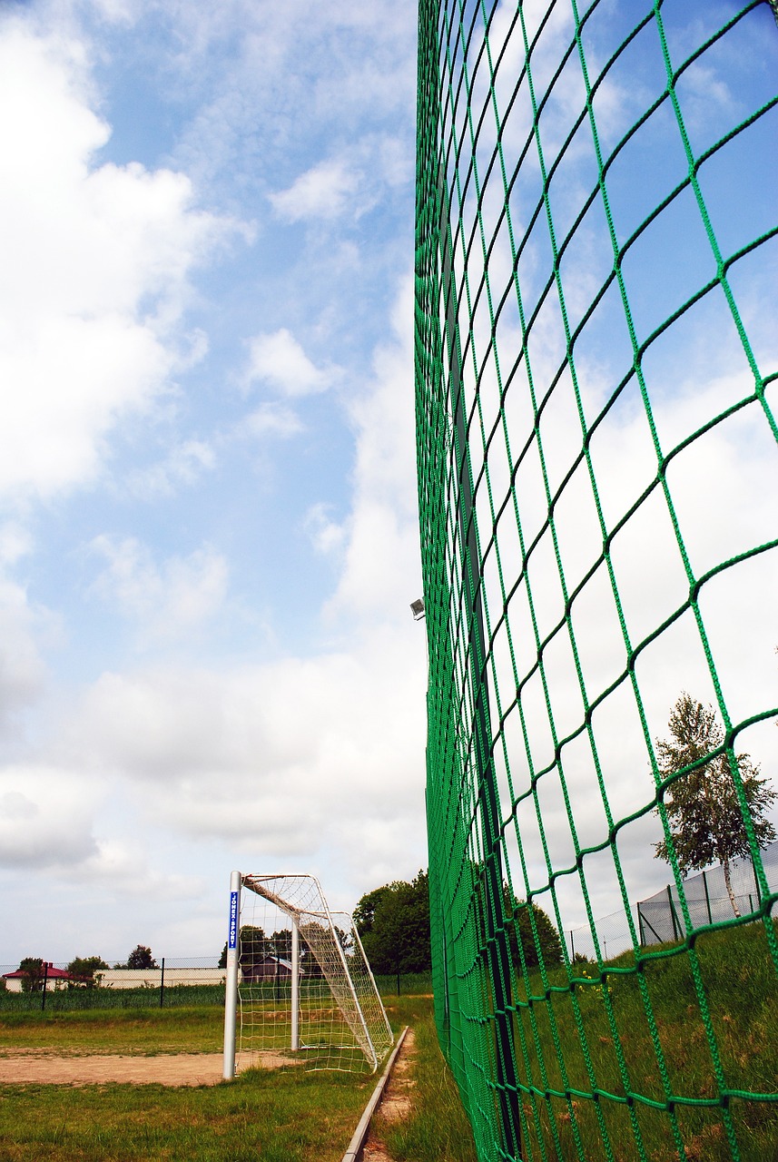 美因茨具有 美因茨具有